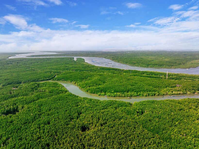 Sở hữu hệ sinh thái xanh “triệu năm tuổi” hiếm có, Cần Giờ giàu tiềm năng phát triển du lịch sinh thái bền vững