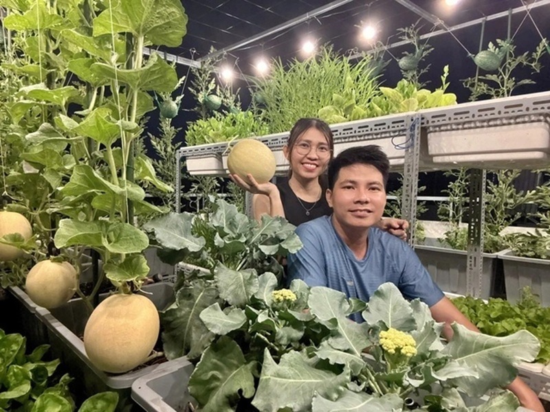 Chị tâm sự rằng qua mỗi đợt cây lớn, chị cảm nhận được sự trưởng thành của bản thân và học được cách điều tiết cảm xúc bằng việc quan sát những điều bình dị từ thiên nhiên. Trên hết, việc khu vườn cung cấp nguồn rau sạch dồi dào cho gia đình chính là động lực thực tế nhất để chị chăm sóc vườn tược tốt hơn mỗi ngày.
