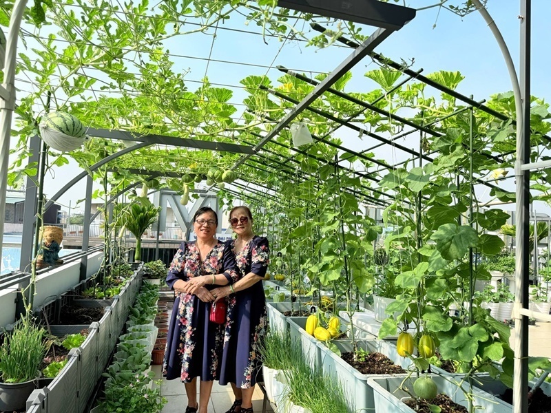 Khu vườn không chỉ là nơi cung cấp thực phẩm mà còn là sợi dây gắn kết các thành viên trong gia đình khi mọi người thường xuyên cùng nhau trộn đất, tưới cây.