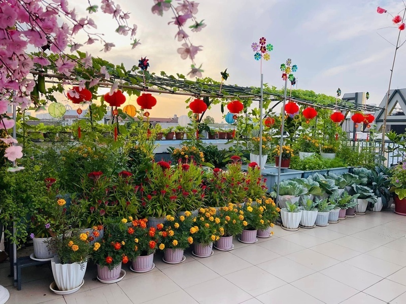 Bí quyết để khu vườn luôn xanh tốt quanh năm chính là phương châm "mùa nào thức nấy". Vào mùa hè, chị Tưởng tập trung canh tác các loại dưa như dưa chuột, dưa lưới, dưa lê Hàn Quốc cùng các giống rau ăn lá chịu nhiệt. Khi thời tiết chuyển lạnh, chị lại ưu tiên trồng bắp cải, su hào, củ cải, mướp đắng và bí xanh.