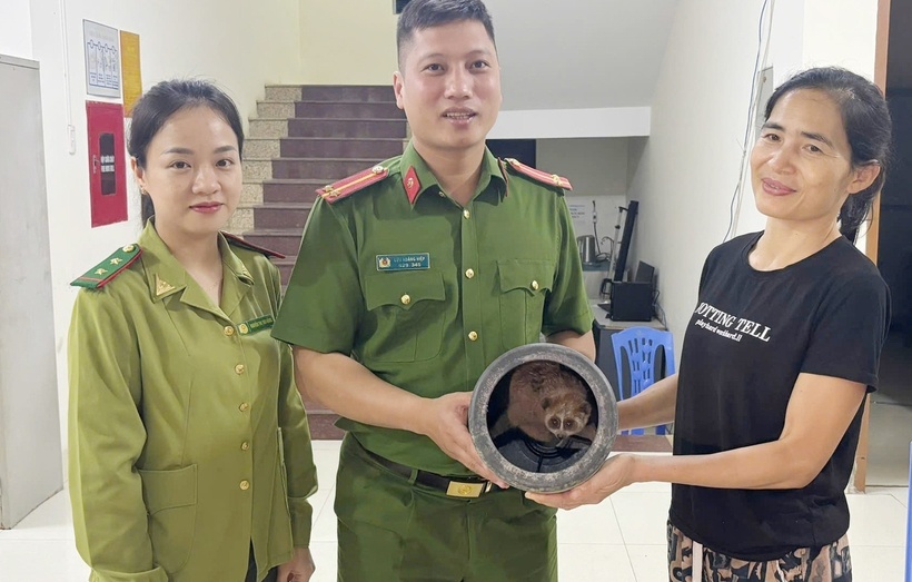 Bà Đỗ Thị Lan bàn giao cu li quý hiếm cho lực lượng chức năng. (Ảnh: Tiền phong)