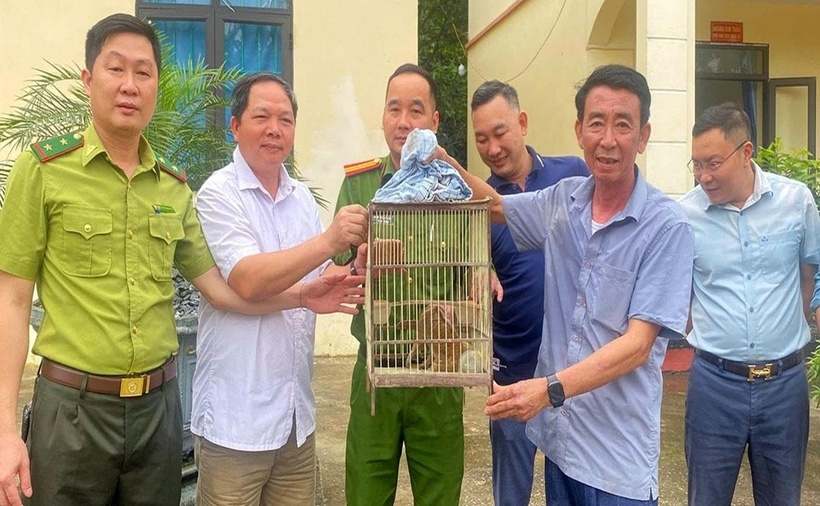 UBND xã Đồng Tâm và các ngành chức năng tiếp nhận cá thể cu li nhỏ động vật rừng nguy cấp, quý, hiếm nhóm IB. (Ảnh: Báo Tuyên Quang)