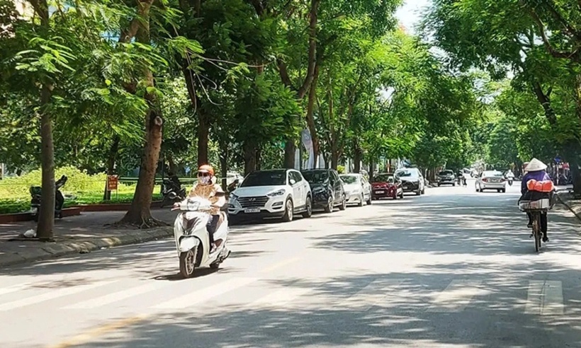 Ảnh minh họa