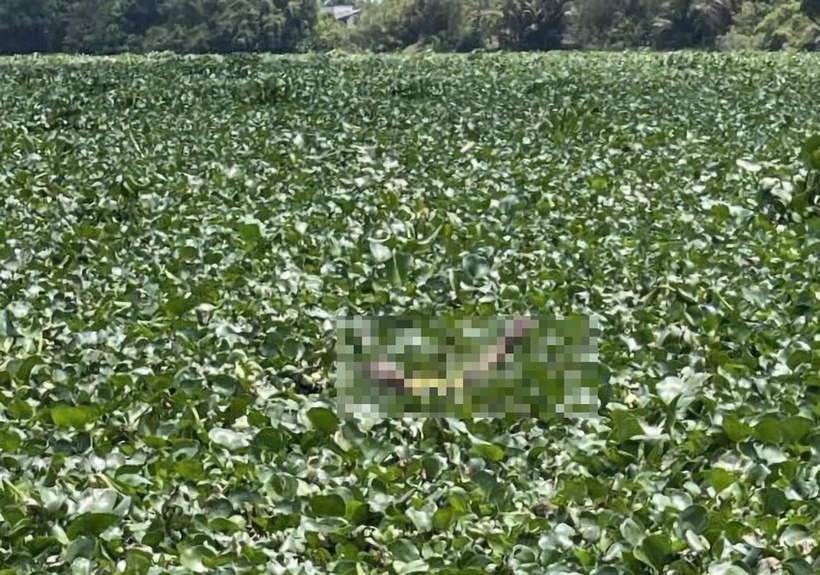 Đã tìm thấy thi thể 2 trẻ nhỏ đuối nước trên sông Vàm Cỏ Tây. Ảnh: Người lao động