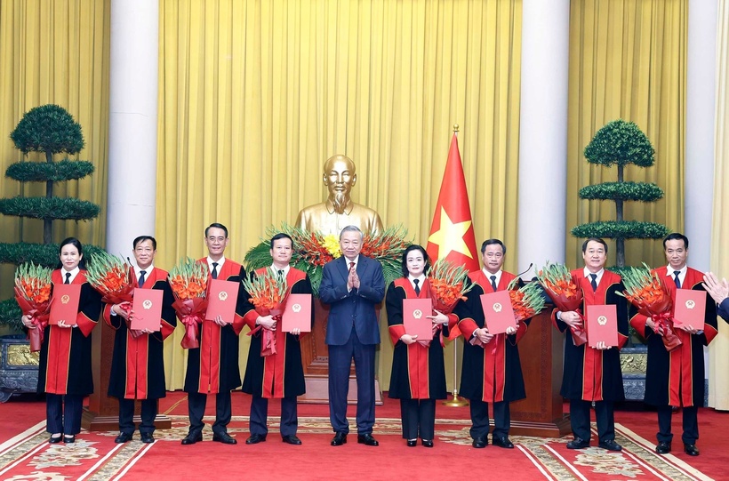 Tổng Bí thư, Chủ tịch nước Tô Lâm trao Quyết định bổ nhiệm chức danh Thẩm phán Toà án nhân dân Tối cao cho các thẩm phán (Ảnh: TTXVN).