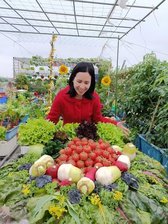 Theo chia sẻ của chị, đất ải có ưu điểm vượt trội là sạch mầm bệnh và giàu dinh dưỡng, chỉ cần trộn thêm chút trấu và phân bón là có thể canh tác ngay lập tức. Khó khăn tiếp tục ập đến khi trần nhà bị thấm dột, buộc anh chị phải dọn toàn bộ vườn để xử lý chống thấm rồi mới dùng ròng rọc kéo từng bao đất lên làm lại từ đầu.