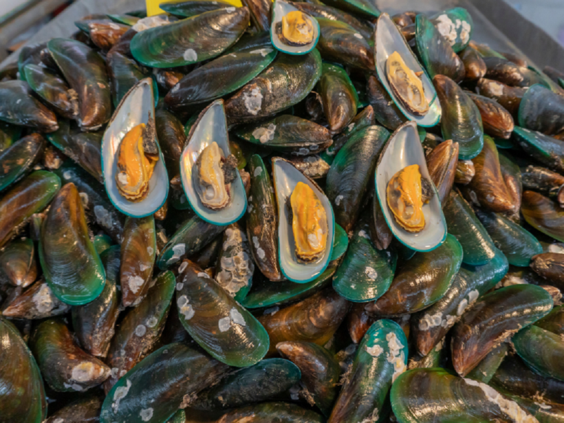 Sản phẩm chứa dầu vẹm xanh giúp cải thiện triệu chứng thoát vị đĩa đệm L4 L5 hiệu quả