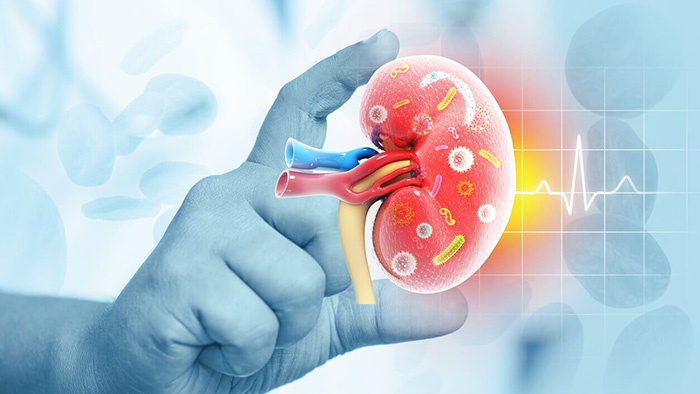 Chức năng thận suy giảm cũng là một trong những nguyên nhân gây ù tai