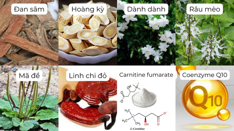 Sử dụng thảo dược cho người chức năng thận kém