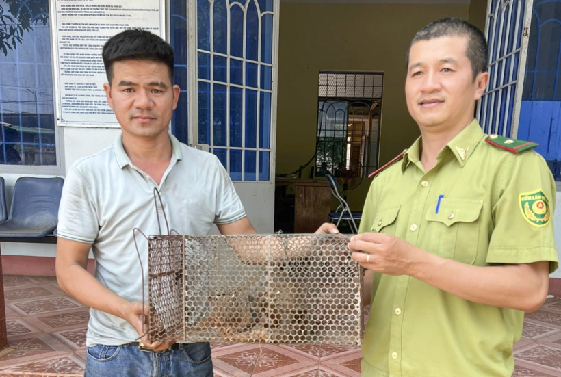 Anh Nguyễn Văn Long bàn giao cá thể tê tê Java cho cơ quan chức năng. Ảnh: Dân Trí