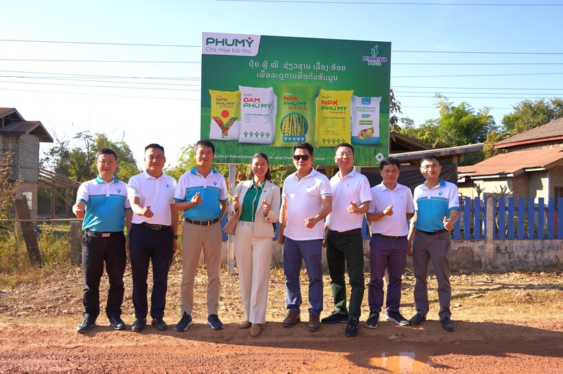 Phân bón Phú Mỹ chuyên dùng cho cây mía tại Lào.