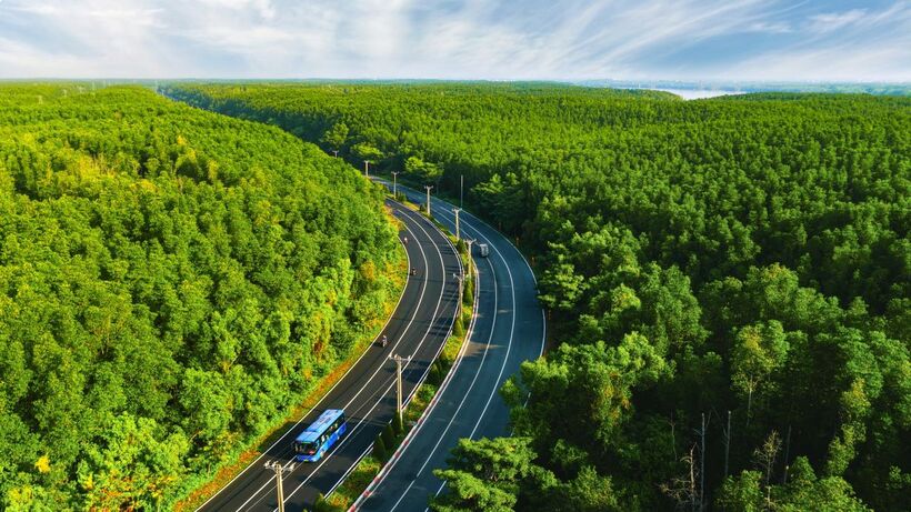 Hơn 5.000 vận động viên sẽ khám phá đường chạy xanh tại VinExpress Marathon Green Paradise Cần Giờ vào 1/5/2026