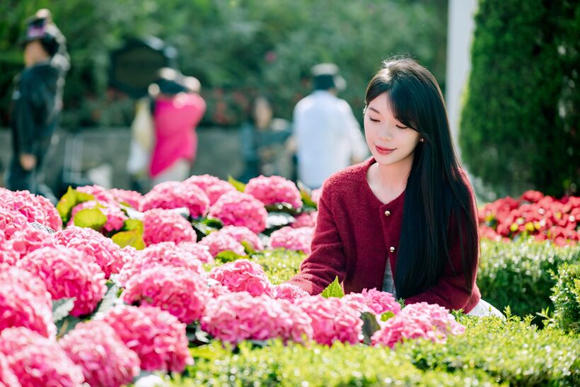 Đắm mình trong sắc hoa nở rộ trên đỉnh Bà Nà dịp lễ này.