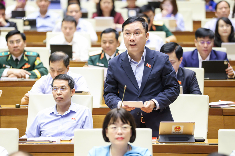 ĐBQH Lê Hoàng Anh (Ảnh: Media Quốc hội).