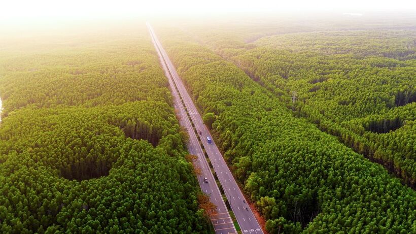 Cư dân Vinhomes Green Paradise tận hưởng môi trường sống với chất lượng không khí tốt  nhất TP.HCM nhờ “lá phổi xanh” 75.000 ha