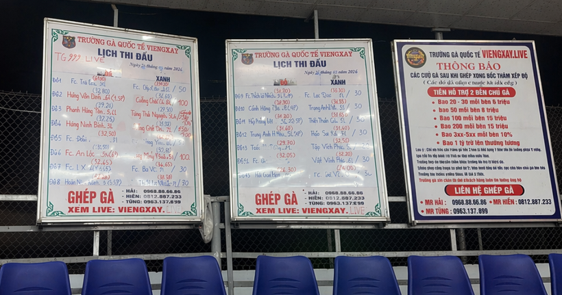 Bên trong “trường gà quốc tế Viêng Xay”. (Ảnh: Công an Thanh Hóa)