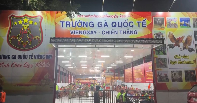 Trường gà quốc tế Viêng Xay. (Ảnh: Công an Thanh Hóa)