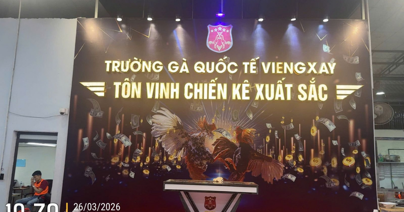Bên trong “trường gà quốc tế Viêng Xay”. (Ảnh: Công an Thanh Hóa)