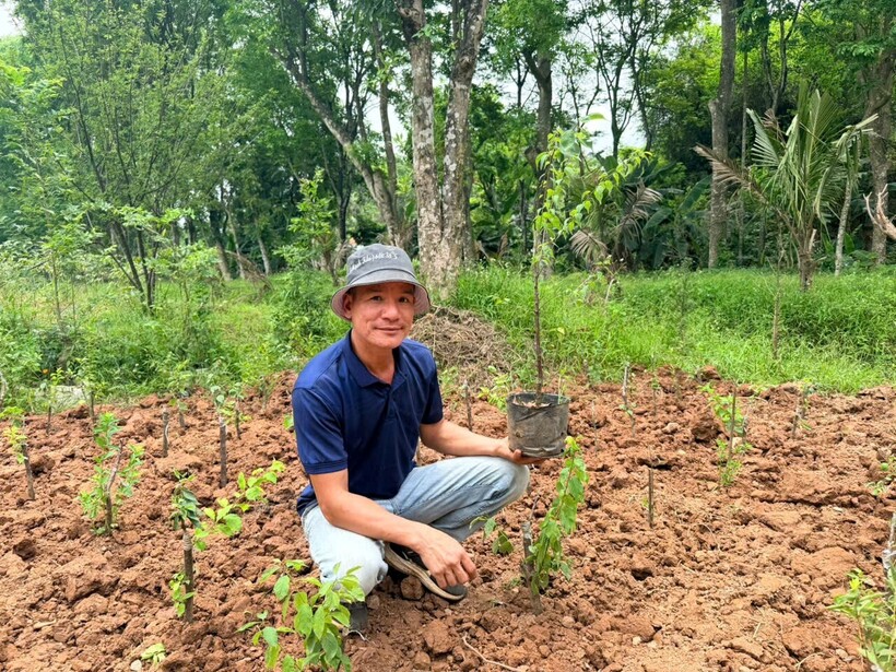 Ông Bùi Văn Triền tại vườn ươm cây giống của Công ty TNHH Cây xanh Triền Nhung.