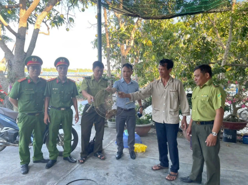 Con cu li được bàn giao cho cơ quan chức năng. Ảnh: Dân Việt