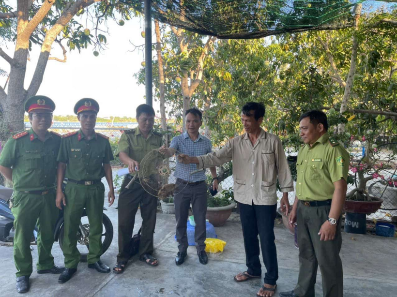 Công an xã Cam Lâm tiếp nhận một cá thể cu li quý hiếm do người dân tự nguyện giao nộp để bàn giao cho lực lượng kiểm lâm. (Ảnh: Công an xã Cam Lâm)