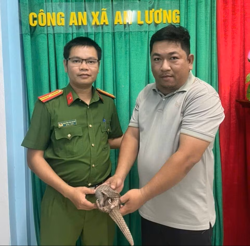 Người dân giao nộp cá thể tê tê quý hiếm cho cơ quan chức năng. Ảnh: Công an Gia Lai