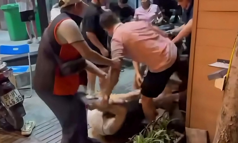 Hình ảnh vụ việc.