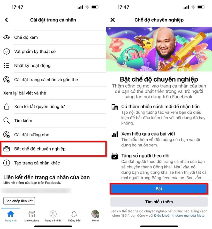 Bật chế độ chuyên nghiệp trên Facebook.