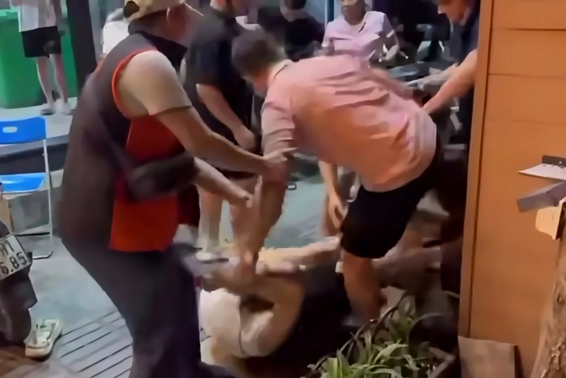 H. bị người đàn ông mặc áo hồng đạp ngã. Ảnh: Cắt từ clip/Dân Trí