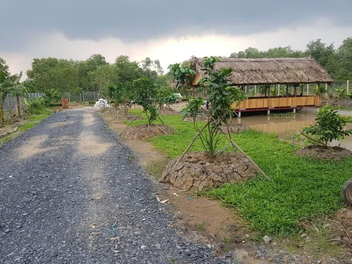 Đất không có nguồn gốc vườn, ao có được giảm tiền sử dụng đất? (Ảnh minh họa)