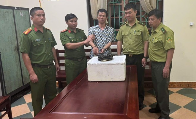 Đối tượng Nguyễn Đình Huy bị Cơ quan CSĐT Công an tỉnh Ninh Bình khởi tố về hành vi "Vi phạm quy định về bảo vệ động vật nguy cấp, quý, hiếm". (Ảnh: Công an tỉnh Ninh Bình)