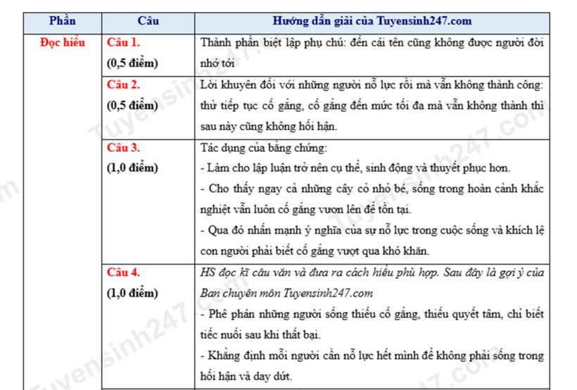 Đề thi, gợi ý đáp án môn Ngữ văn vào lớp 10 năm 2026 - 3