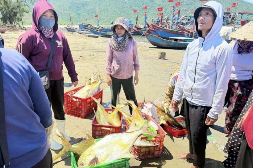 Thương lái tập trung mua cá. Ảnh: Dân Trí