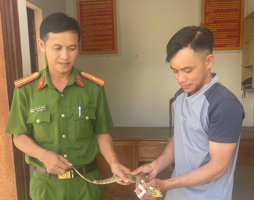 Cán bộ Công an xã Krông Nô tiếp nhận cá thể kỳ đà vân quý hiếm tại trụ sở. (Ảnh: Công an tỉnh Lâm Đồng)