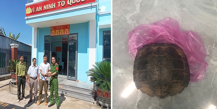 Anh Nguyễn Văn Xuân (thứ 3 từ trái sang) đến Công an xã tự nguyện giao nộp 1 cá thể rùa sen vàng. (Ảnh: Công an tỉnh Lâm Đồng)