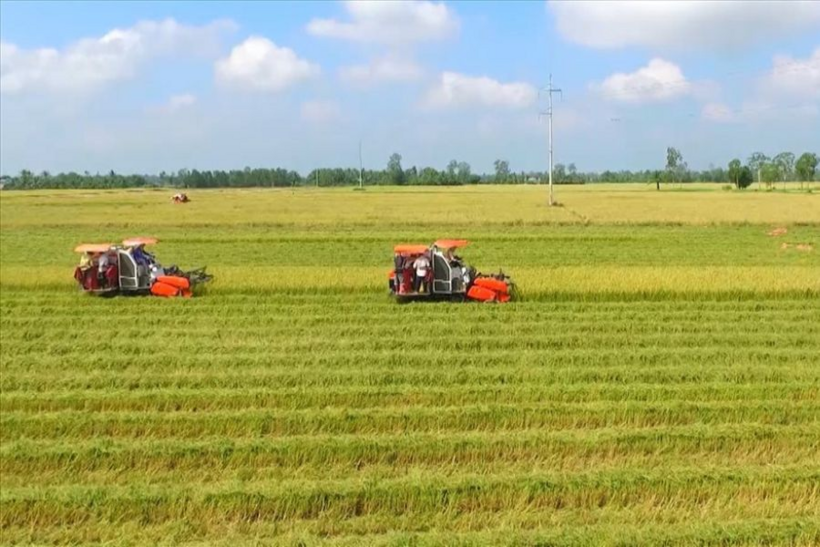 Xác định thời hạn sử dụng đất nông nghiệp thế nào? (Ảnh: Lao động)