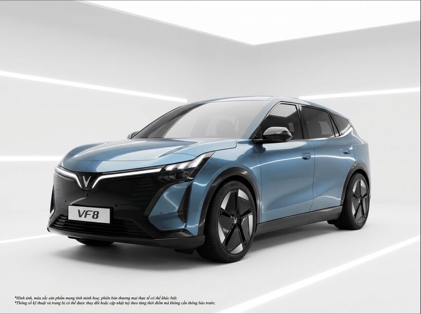 Mua SUV hạng D với giá hạng C: Lý do VinFast VF 8 thế hệ mới tạo “địa chấn” trong 8 ngày vàng - 3