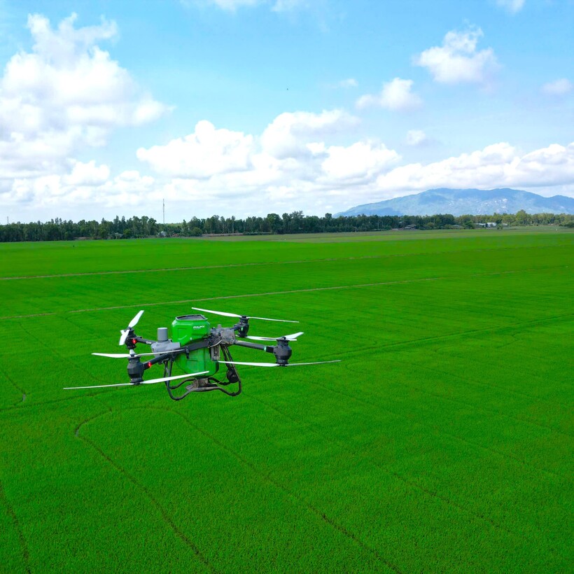 Giải pháp dùng thiết bị bay không người lái (drone) tiết kiệm chi phí đem lại hiệu quả cho bà con nông dân.