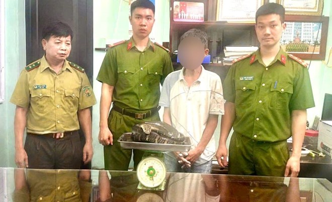 Lực lượng chức năng kiểm tra, phát hiện đối tượng vận chuyển trái phép cá thể rắn hổ chúa. Ảnh: Công an Ninh Bình