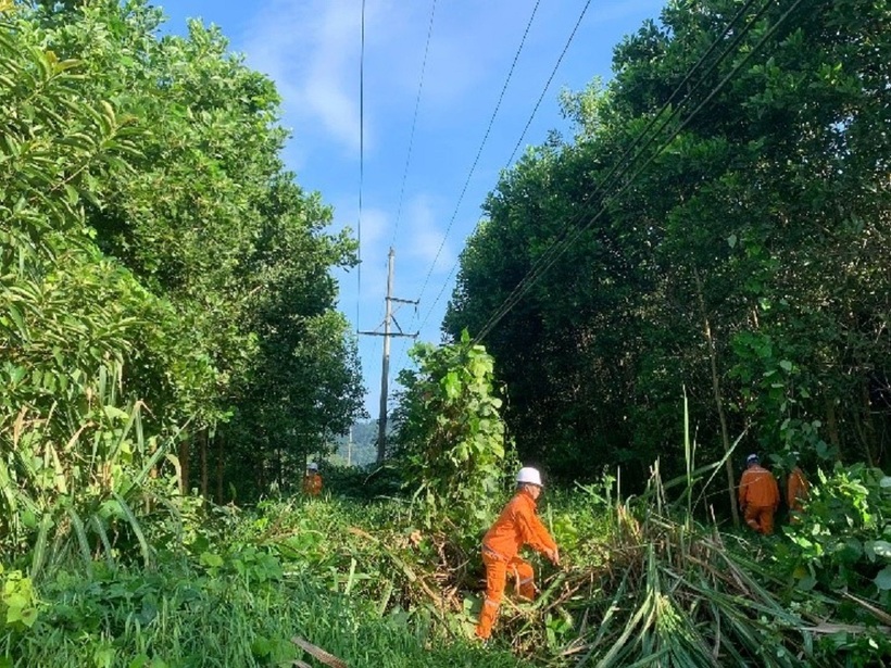 Thực hiện phát quang hành lang lưới điện trước mùa mưa bão