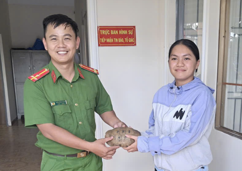 Công an phường 3 Bảo Lộc tiếp nhận cá thể rùa núi vàng.