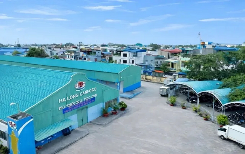 Đồ hộp Hạ Long vận hành lại nhà máy Hải Phòng. ẢNH: H.P