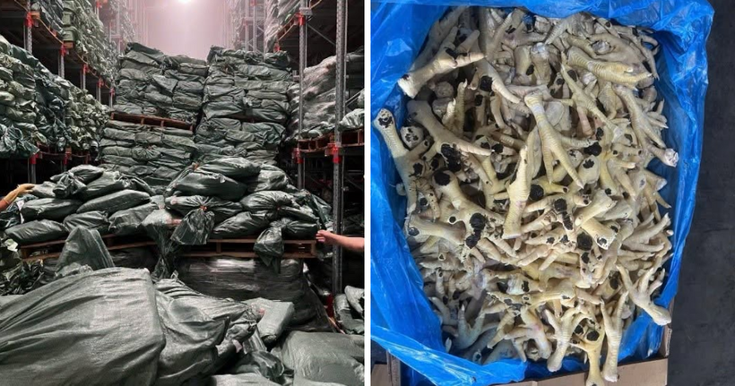 Một lượng lớn chân gà nhập lậu đã được tuồn ra thị trường tiêu thụ.