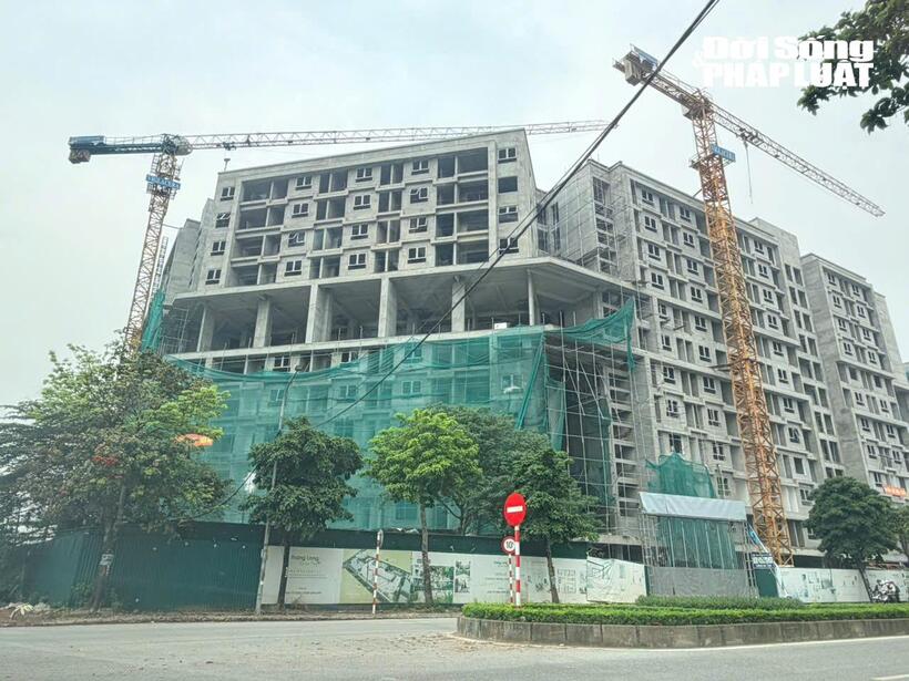 Các khối nhà ở xã hội đang dần hình thành, phản ánh xu hướng phát triển mạnh phân khúc nhà ở giá rẻ tại đô thị lớn.
