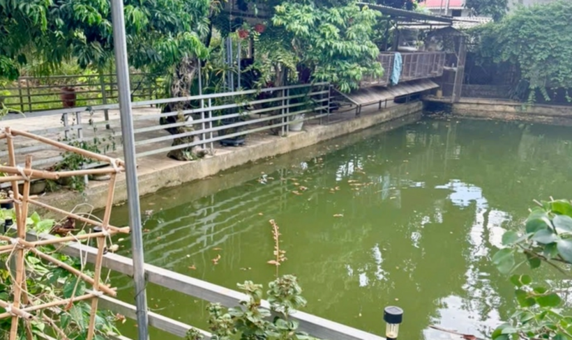 Ao nước nơi hai chị em ở xã Quỳ Hợp, Nghệ An gặp nạn. (Ảnh: Tuổi trẻ)