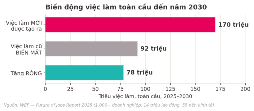 Biến động việc làm toàn cầu đến năm 2030 (WEF - Future of Jobs Report 2025)