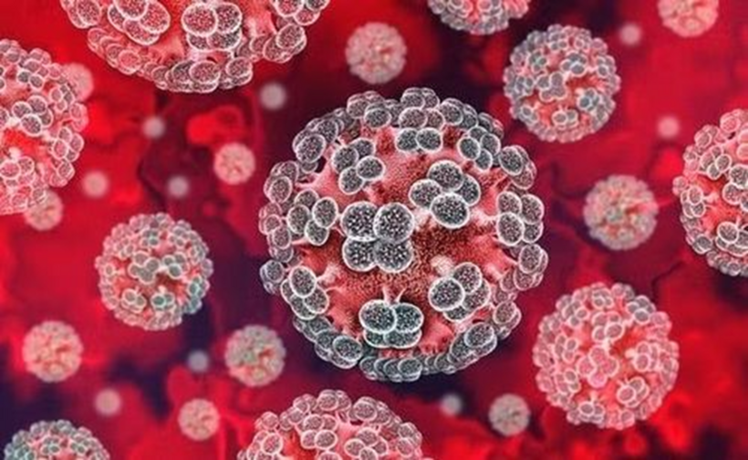 Ổ dịch virus Hanta trên tàu du lịch được kiểm soát. Ảnh minh họa