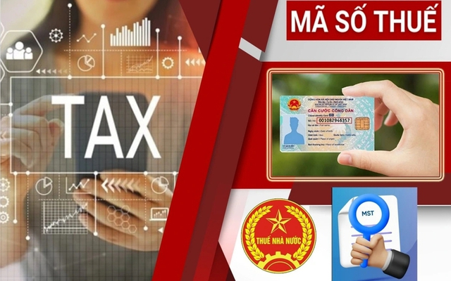 Người lao động có hai quốc tịch, sử dụng mã số thuế thế nào? (Ảnh minh họa)