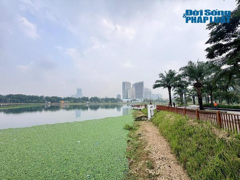 Công viên Phùng Khoang thu hút người dân đến vui chơi, thư giãn vào các khung giờ trong ngày.