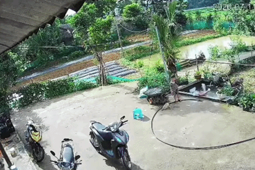 Bé Hoàng Anh hét lớn, tìm bố hỗ trợ khi em gái bị trượt chân xuống bể cá. Ảnh: Dân trí
